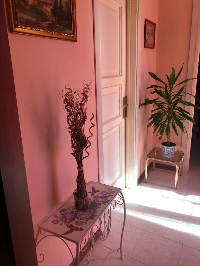 Castel RitaldiIl Girasole公寓 外观 照片