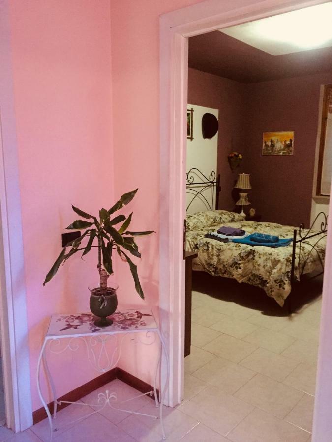 Castel RitaldiIl Girasole公寓 外观 照片