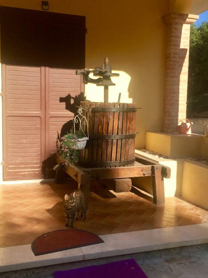 Castel RitaldiIl Girasole公寓 外观 照片